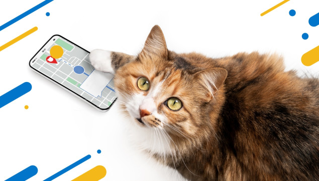 What to do when your pet goes missing